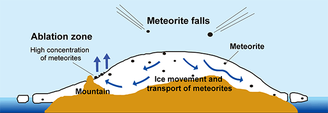 Mechanism of Meteorite Accumulation in Antarctica